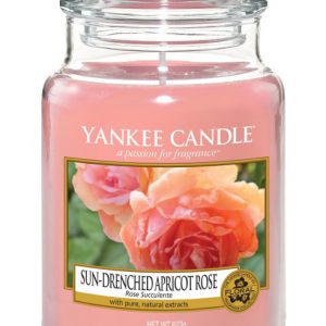 Sun Drenched Apricot Rose large jar